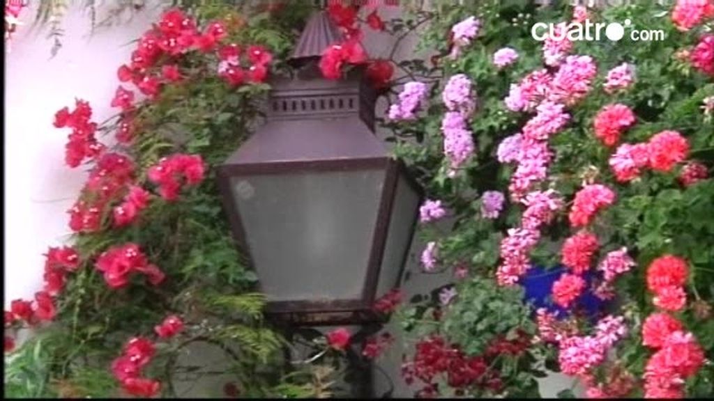 La Feria de los patios (Córdoba)