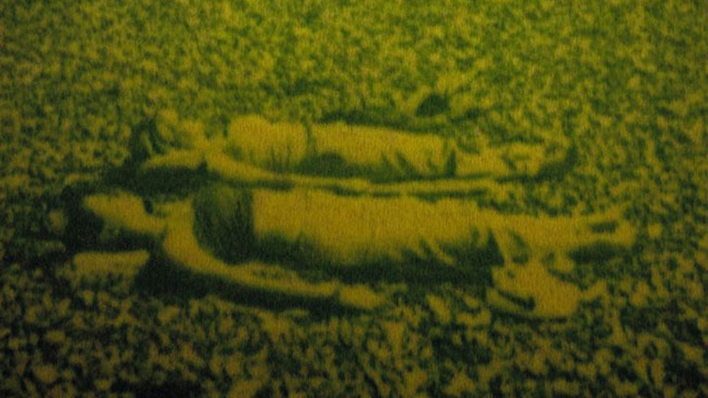 Arte a partir de hierba