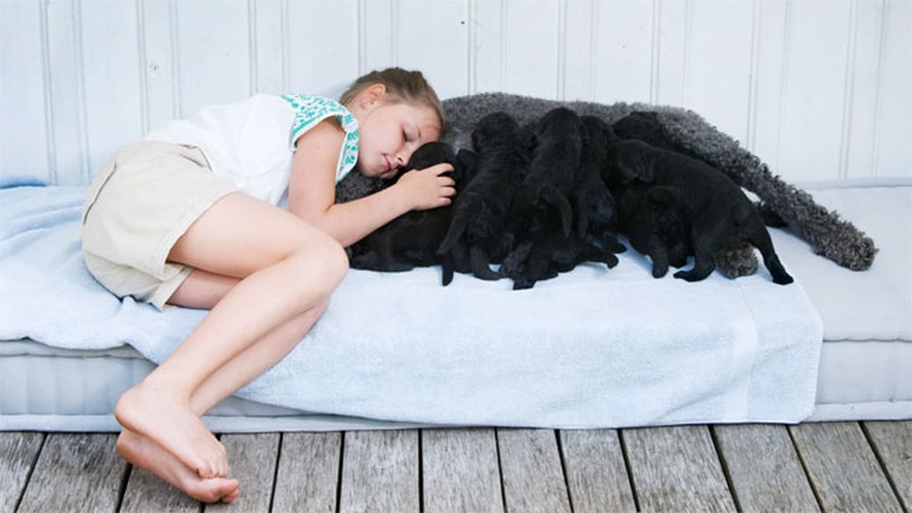 Todos descalzos, en un colchón-sofá en el suelo...