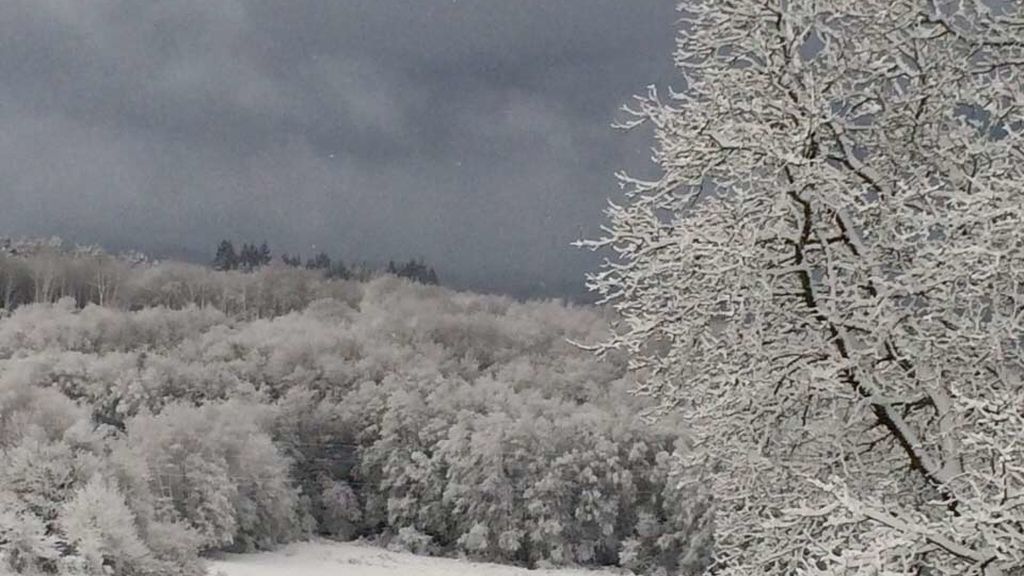 Manto blanco en Guitián, Lugo