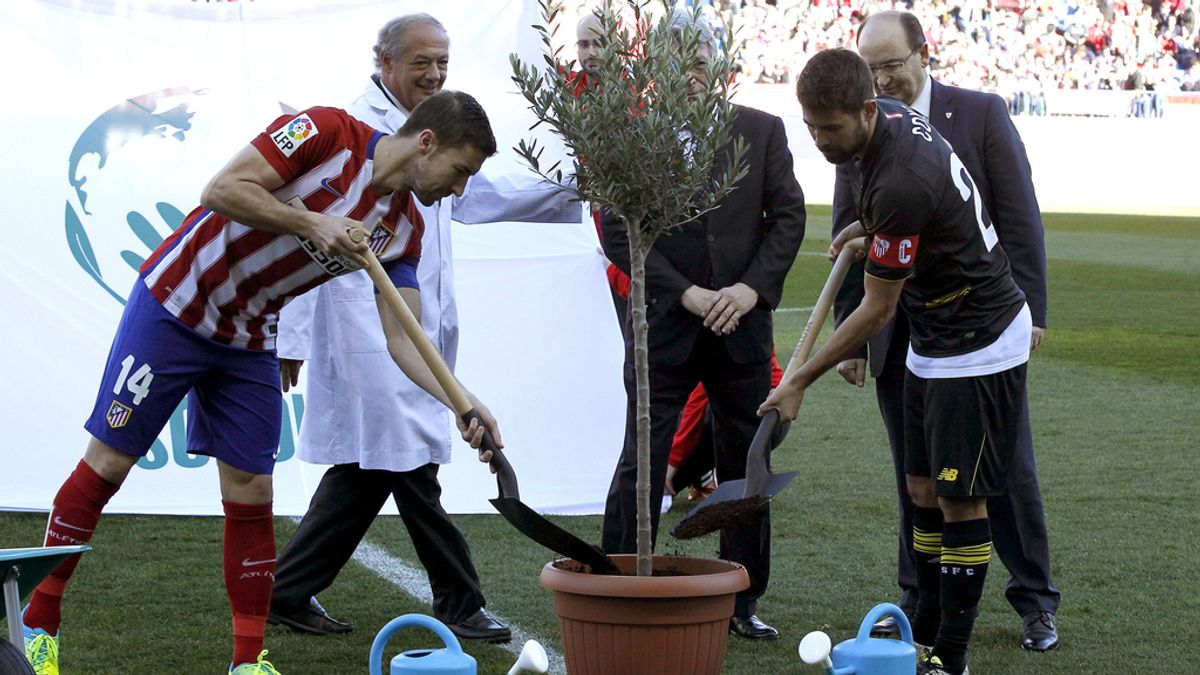 Los capitanes de Atlético y Sevilla plantan el Olivo de la Paz bendecido por el Papa Francisco