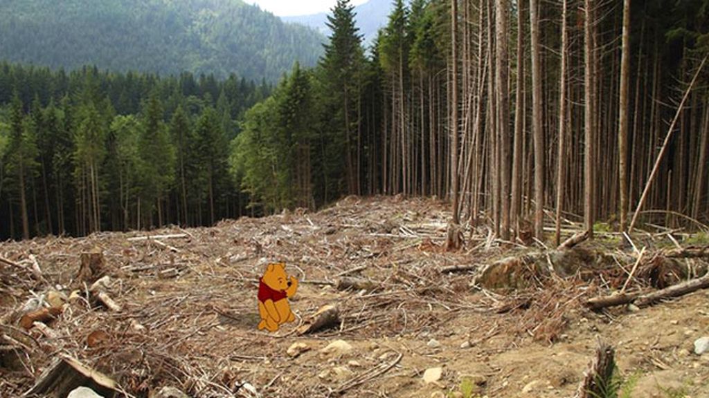 Winnie The Pooh, en el bosque talado