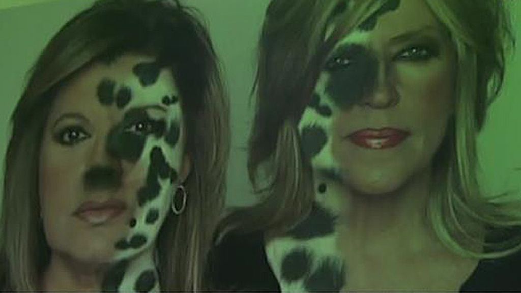 Leones, tigres, pumas, leopardos... La otra cara de los colaboradores