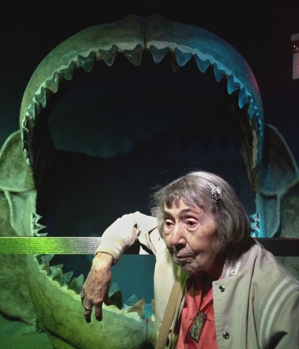 Momentos de vida robados a la artista Marie Ulmer