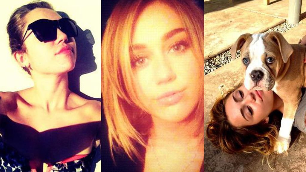 Miley Cyrus (@MileyCyrus)