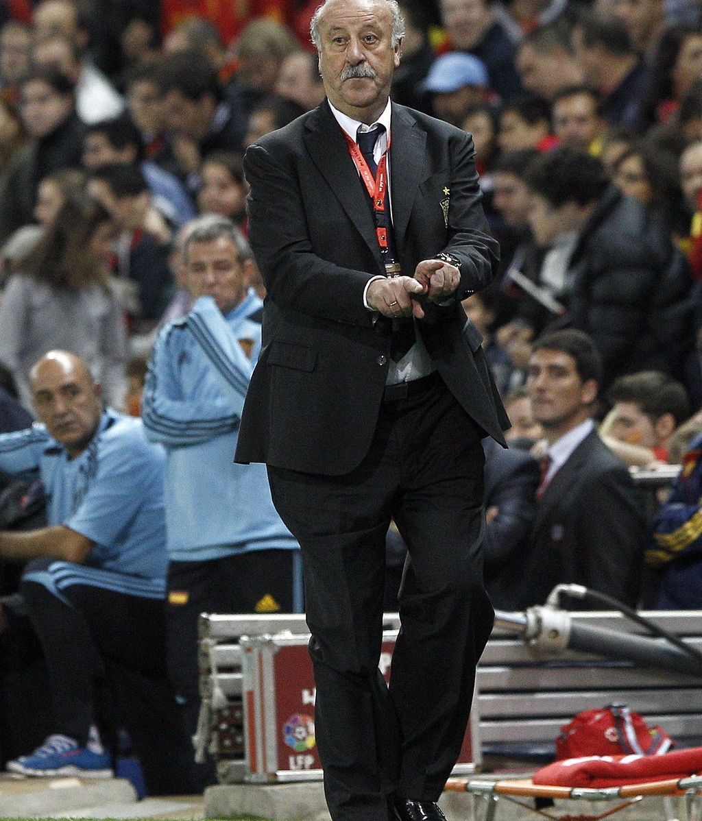 El entrenador de la selección española, Vicente del Bosque, durante el partido de la fase de clasificación para el Mundial de Brasil 2014 ante Francia