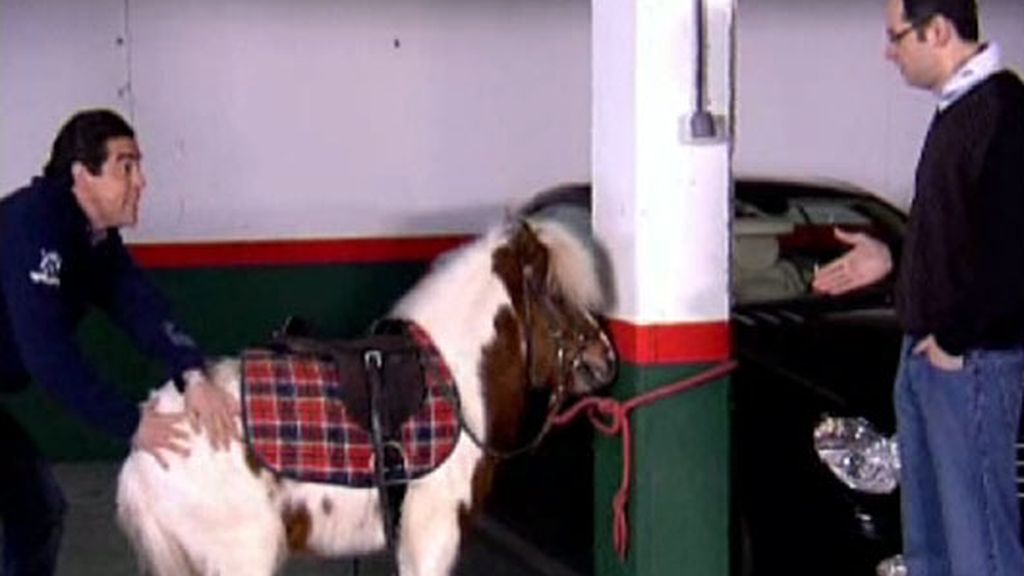 Un teléfono, un puticlub y una humedad terrible