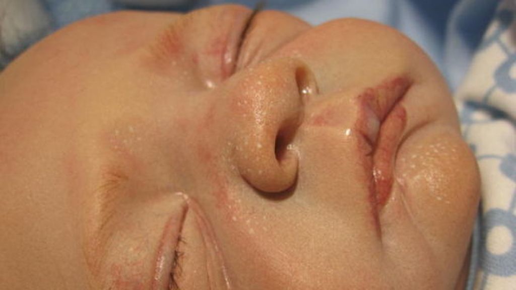 Los bebés artificiales llegan al mercado español