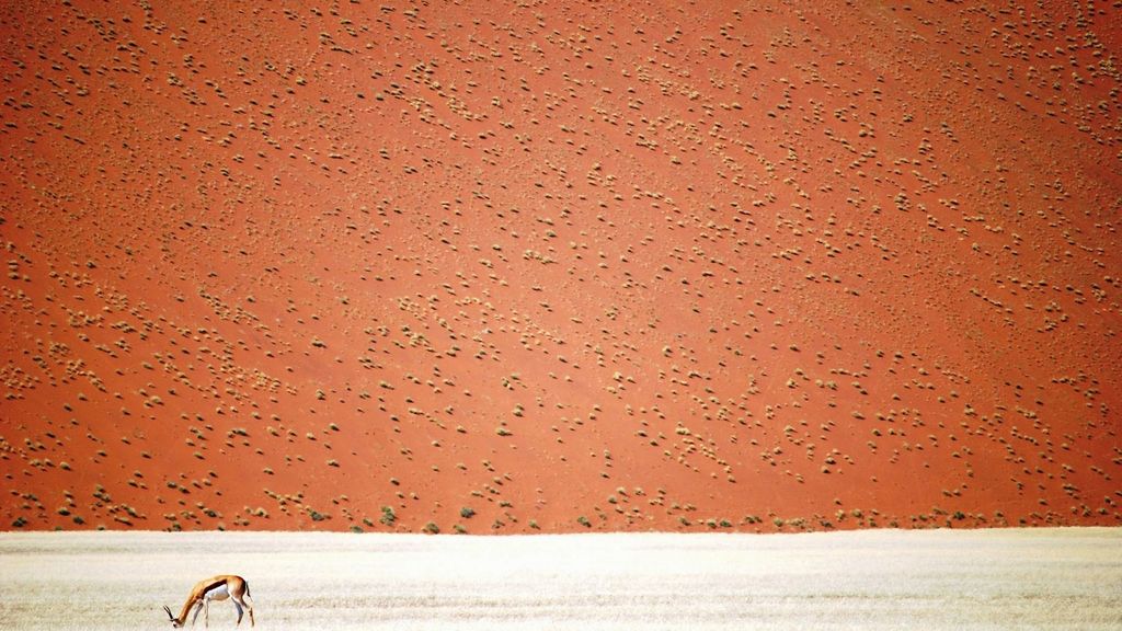 National Geographic busca al fotógrafo de viajes del año