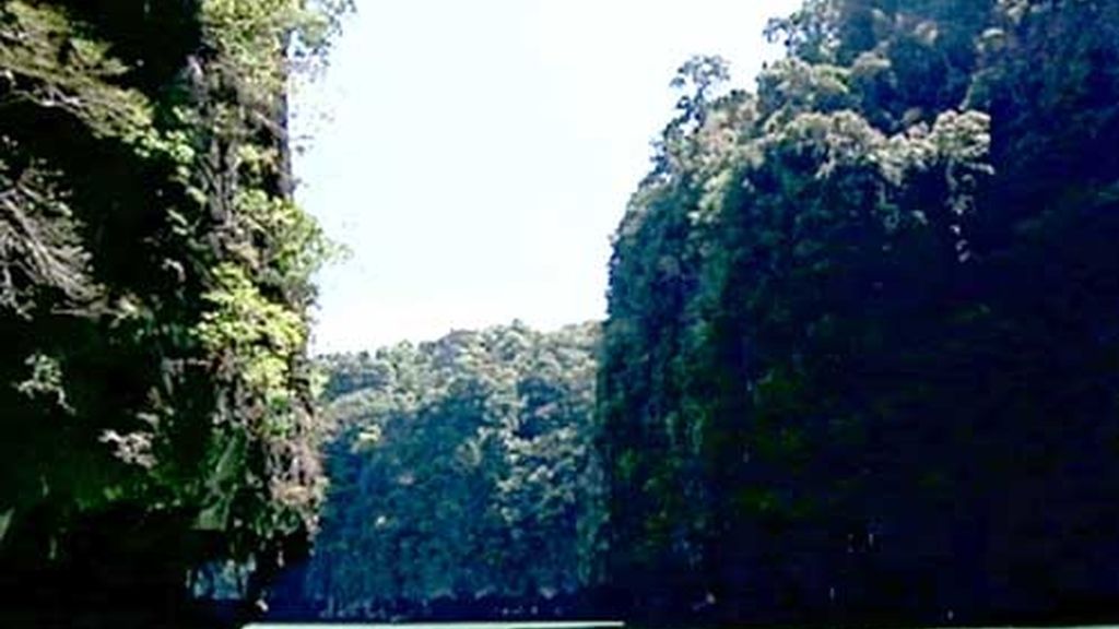 Naturaleza en estado puro