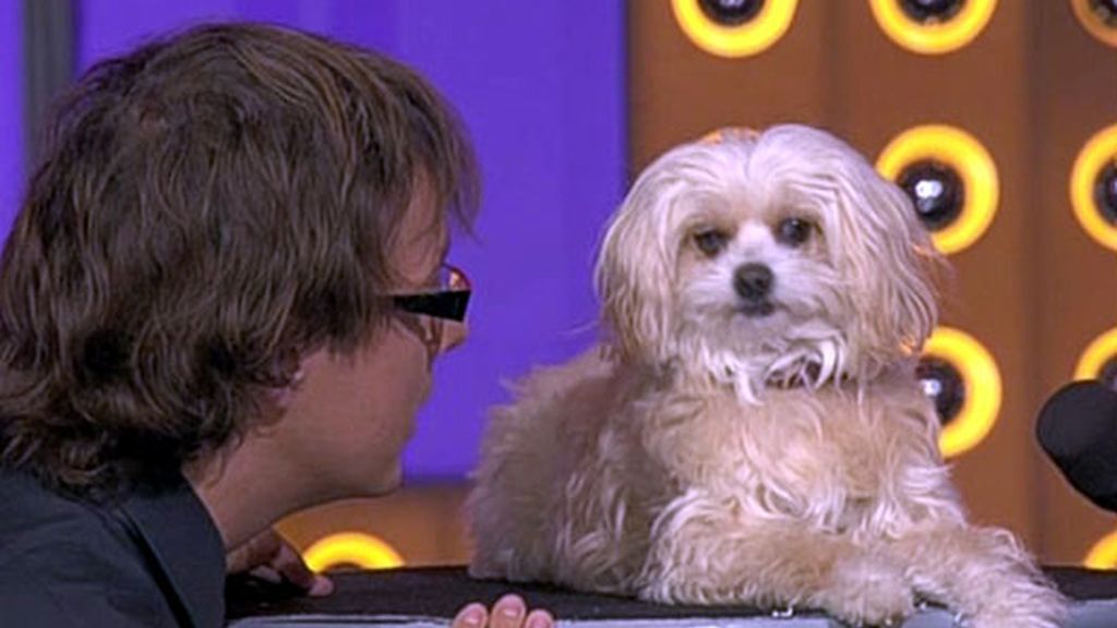 Gran Final de la 4ª edición de TSQV