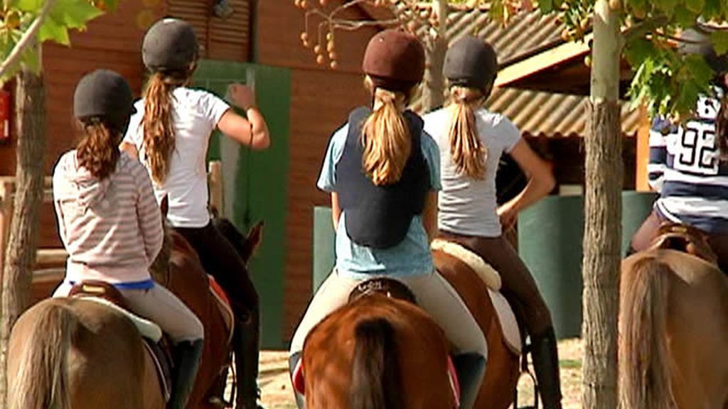 Clases de equitación