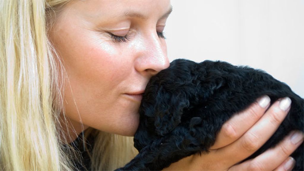 Todos descalzos, en un colchón-sofá en el suelo...