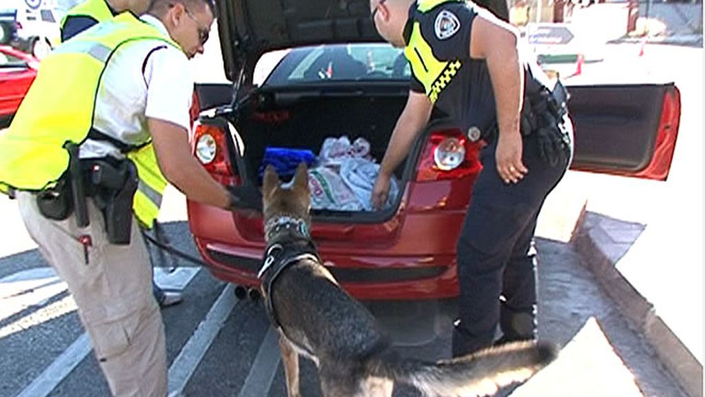 Inspeccionando un coche sospechoso