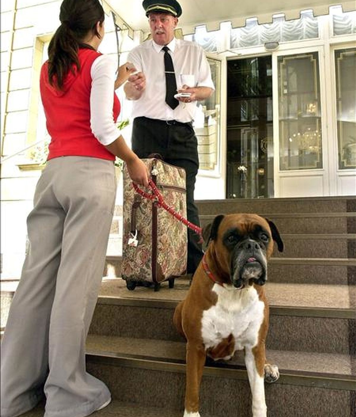 La propietaria de un perro entra en uno de los hoteles de la capital donostiarra donde se admiten mascotas. EFE/Archivo