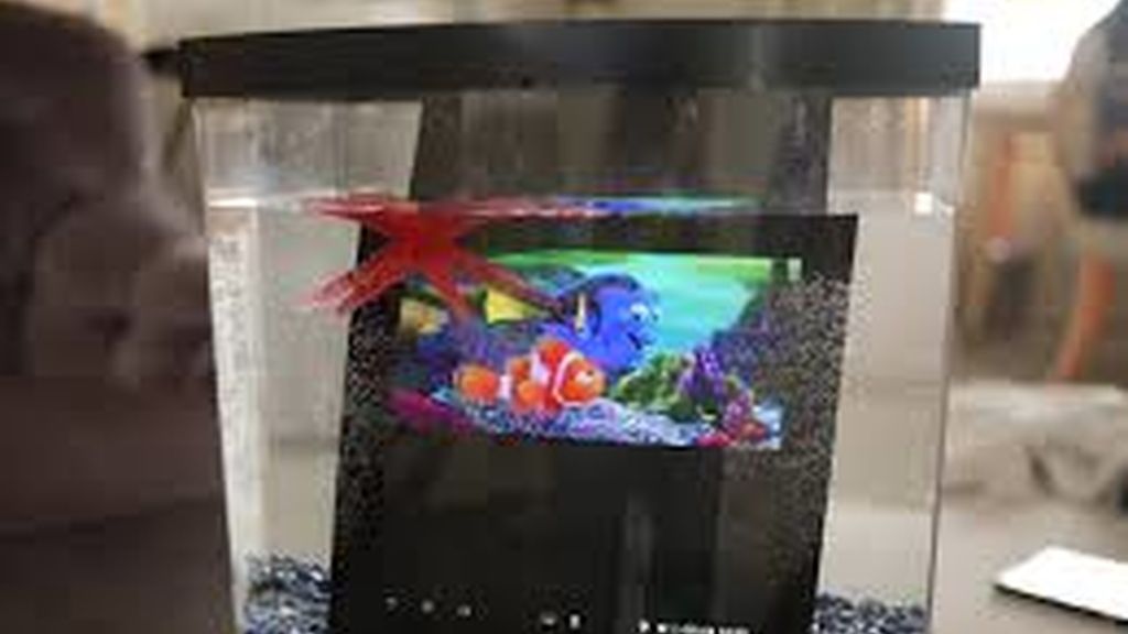 Xperia Tablet Z,tablet Sony