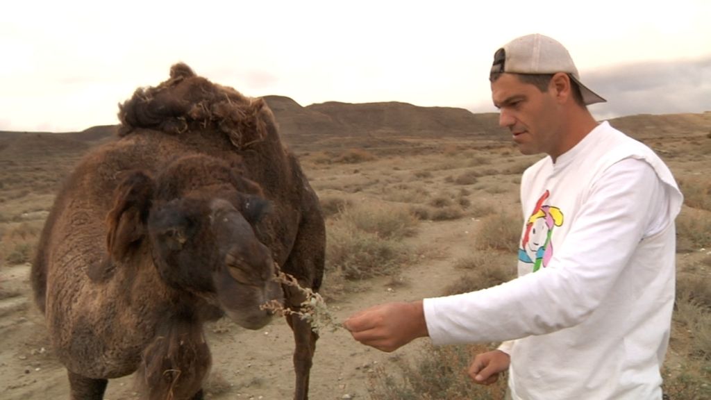 Frank encuentra camellos, caimanes y leones en su viaje por España