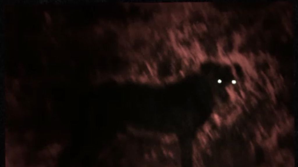 Las mejores imágenes del programa