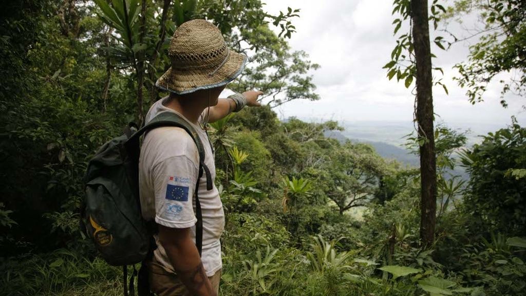 El océanos Pacífico desde el Pechito Parado