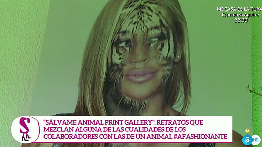 Leones, tigres, pumas, leopardos... La otra cara de los colaboradores