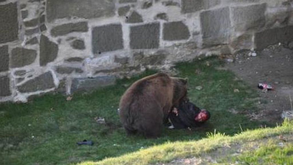 Atacado por un oso