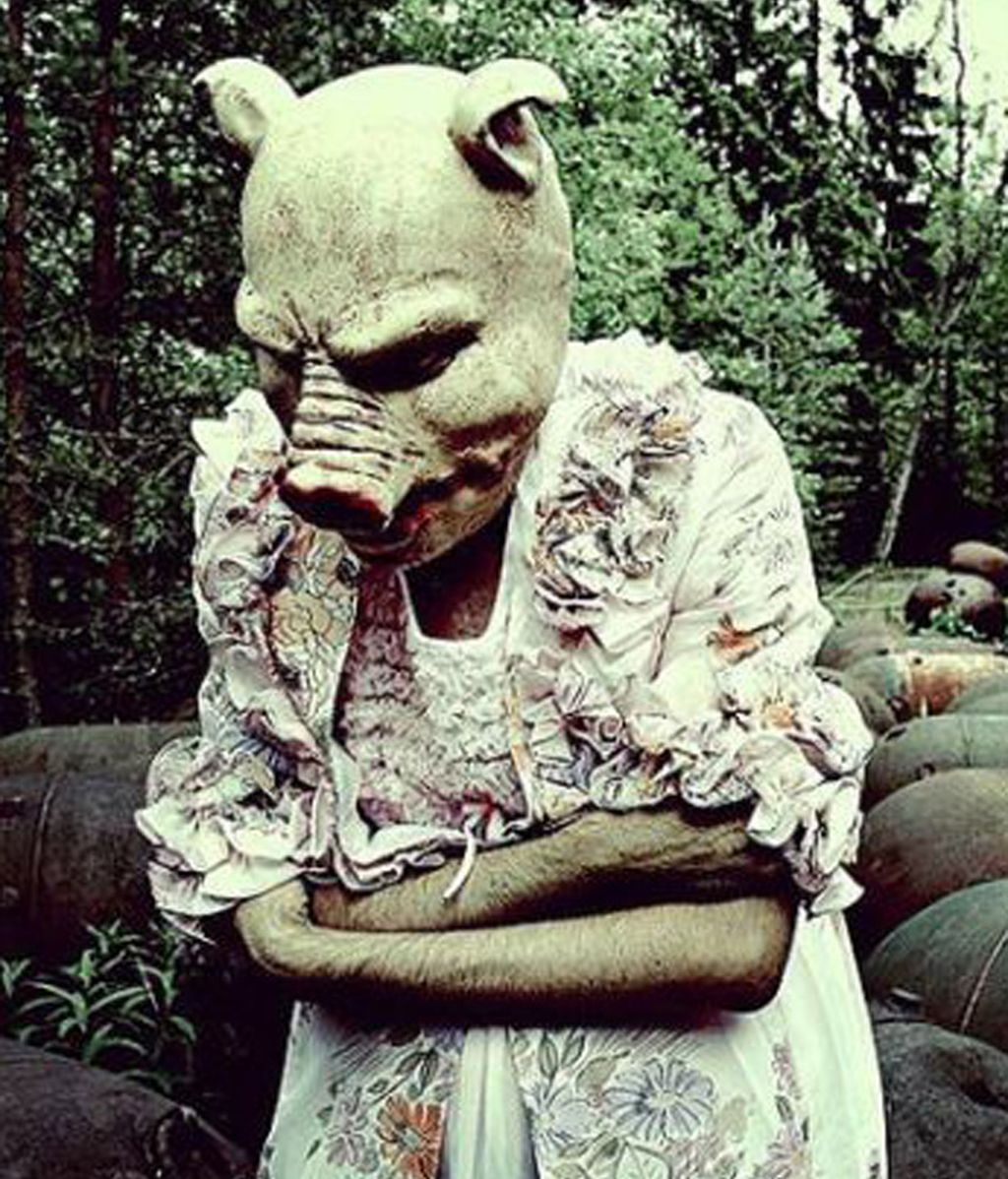 Polémicas fotografías escalofriantes con animales disecados