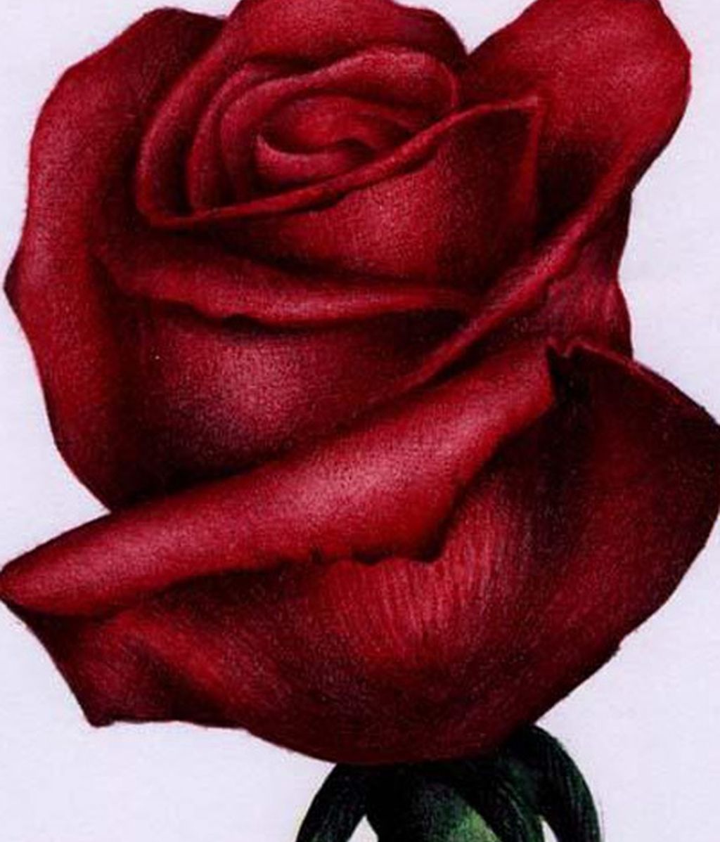 Hiperrealismo a bolígrafo