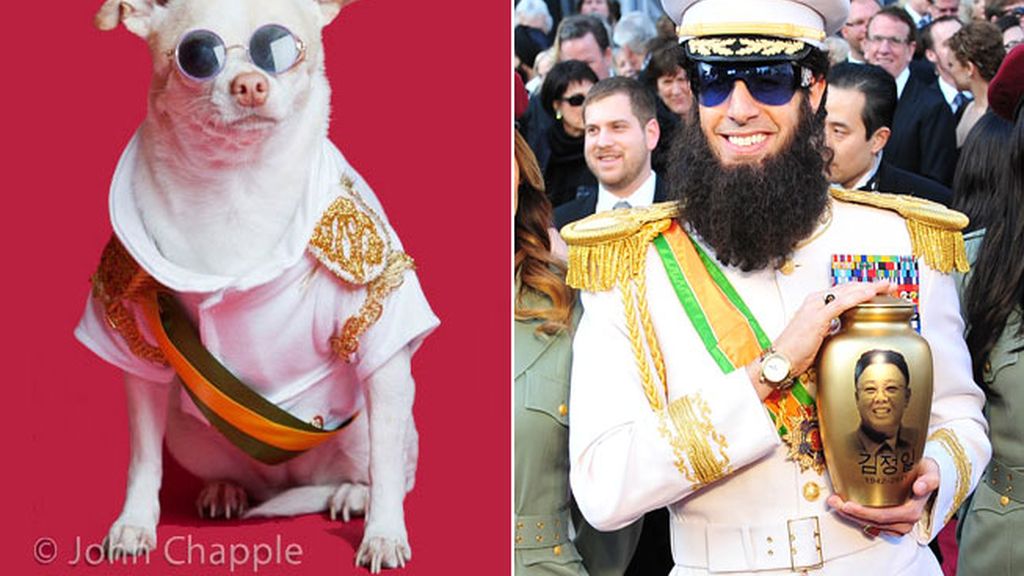 Vestidos de Oscar para tu mascota