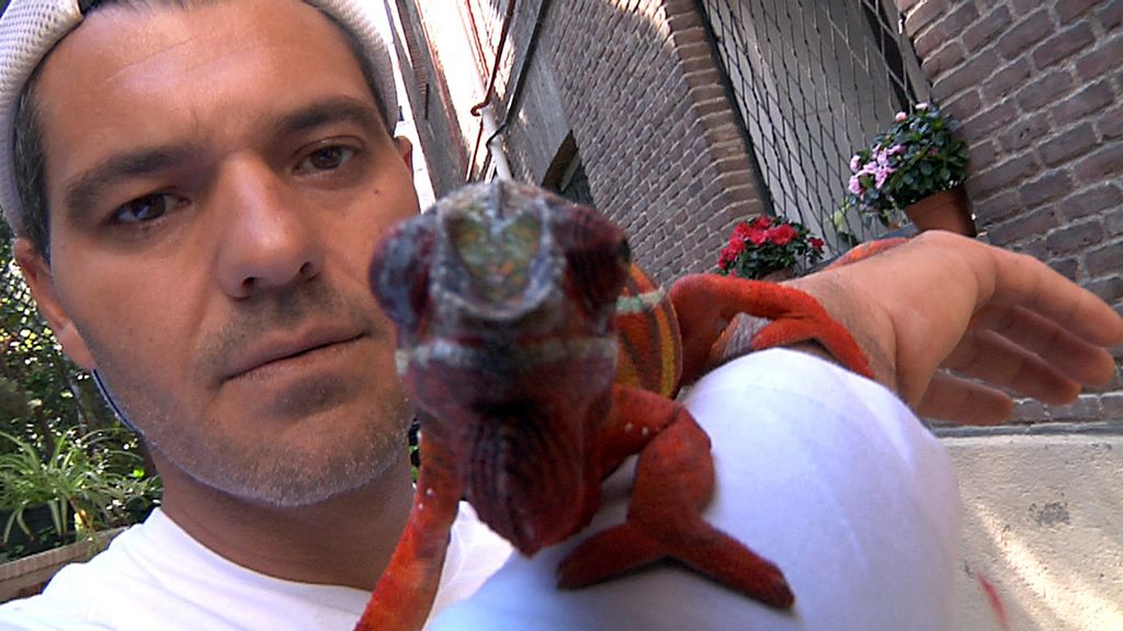 La selva en casa, de la mano de Frank Cuesta