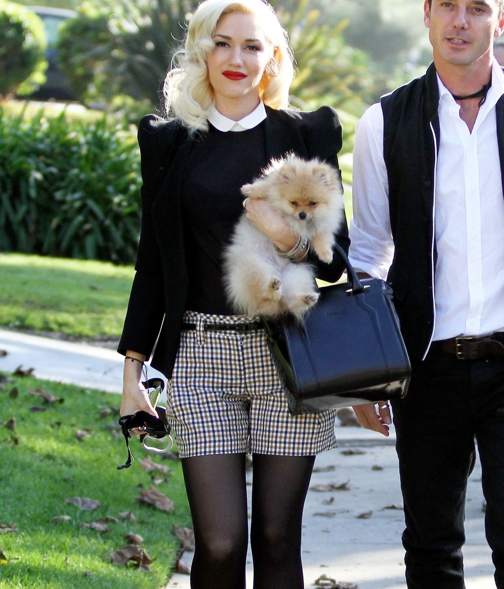 Los shorts de las famosas calientan el invierno