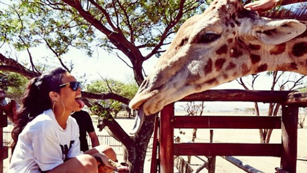 Parece que Rihanna se entiende muy bien con las jirafas