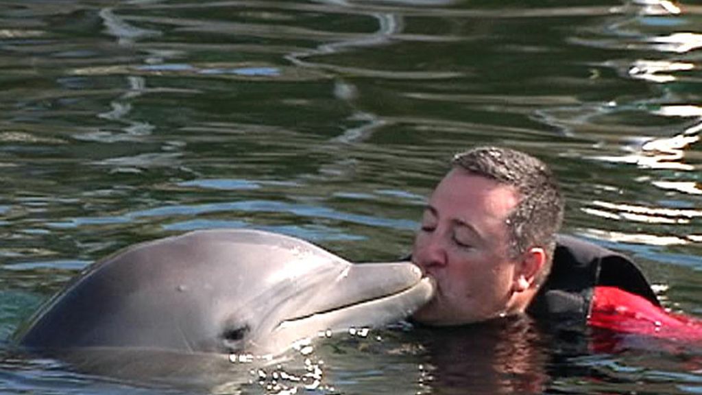 Un hombre besa a un Delfín