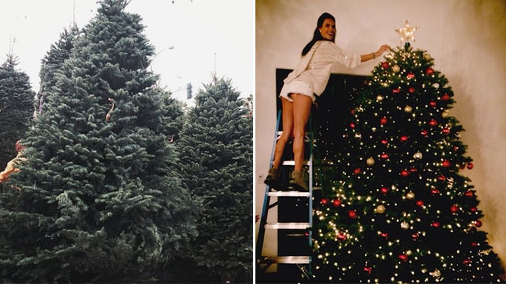 Alessandra Ambrosio subida a una escalera para decorar el alto del árbol