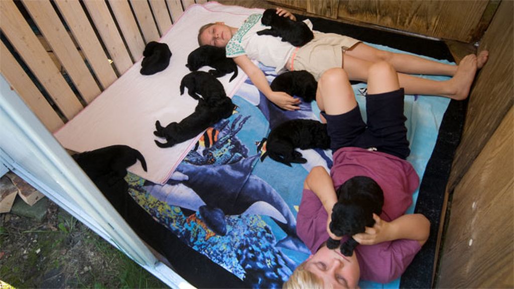 Todos descalzos, en un colchón-sofá en el suelo...