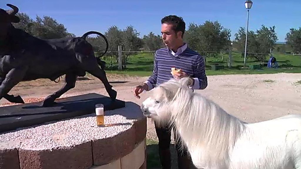 Jabalíes, ciervas, linces, burros, ocas y ponis... unos animales muy domésticos