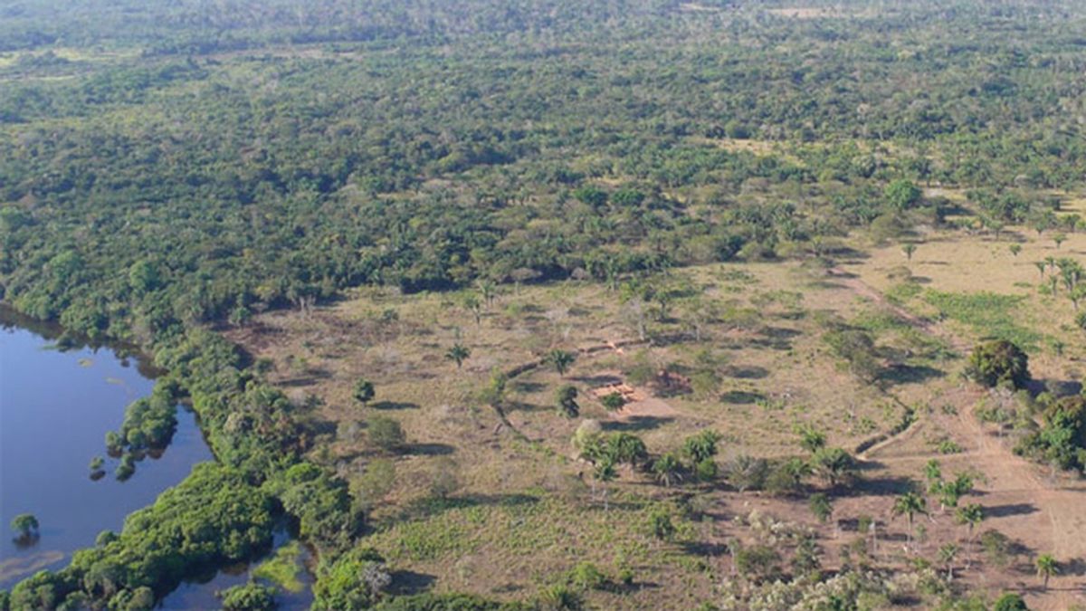 Descubren estructuras arcaicas más antiguas que el propio Amazonas