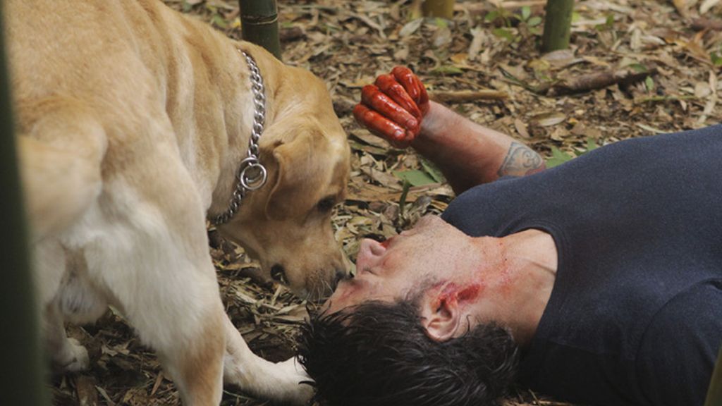 Capítulo 16 y 17: Final