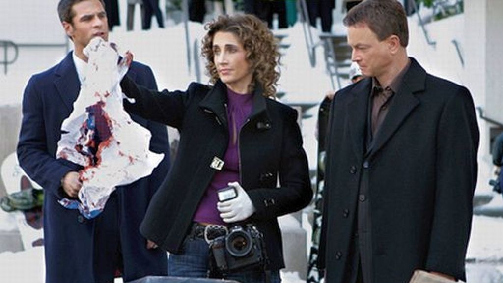 CSI Nueva York, Capítulo 5x13