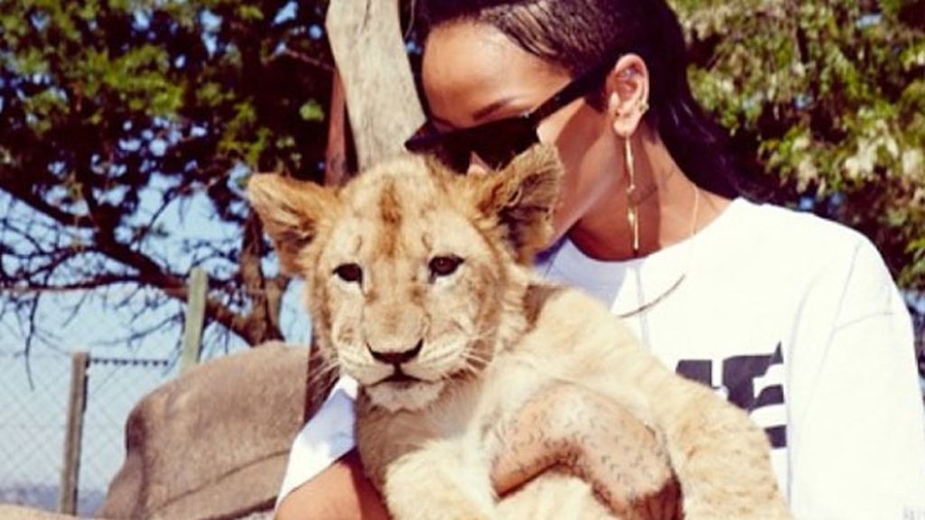 Así de cariñosa se ha mostrado RiRi con un pequeño león