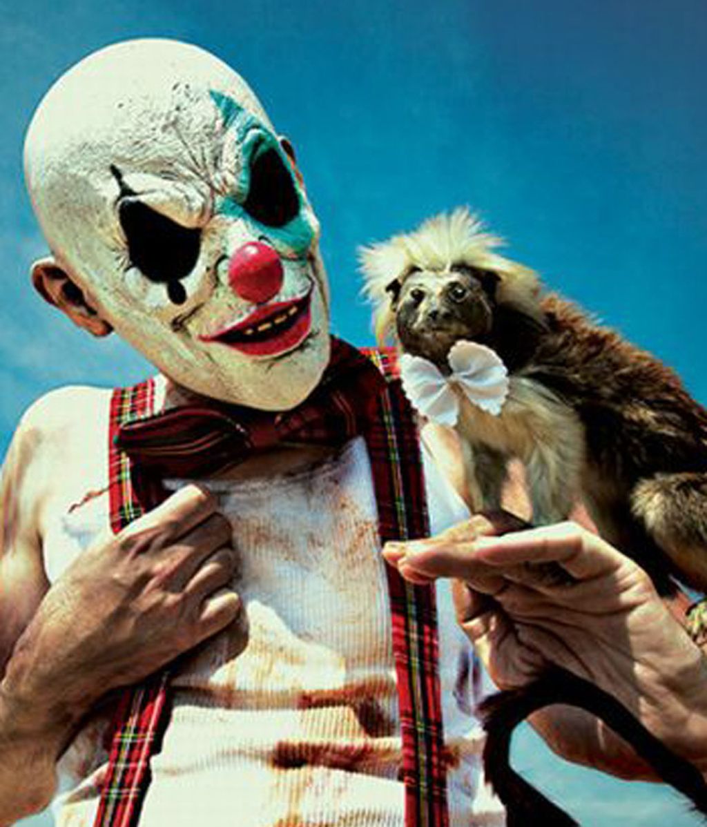 Polémicas fotografías escalofriantes con animales disecados