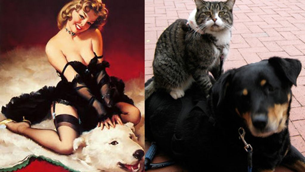 Gatos que parecen chicas 'pin-up'