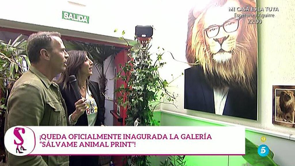 Leones, tigres, pumas, leopardos... La otra cara de los colaboradores