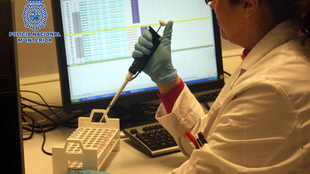 Profesional analizando pruebas de ADN Profesional analizando pruebas de ADN