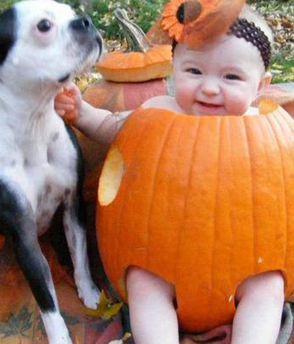 Bebés para Halloween