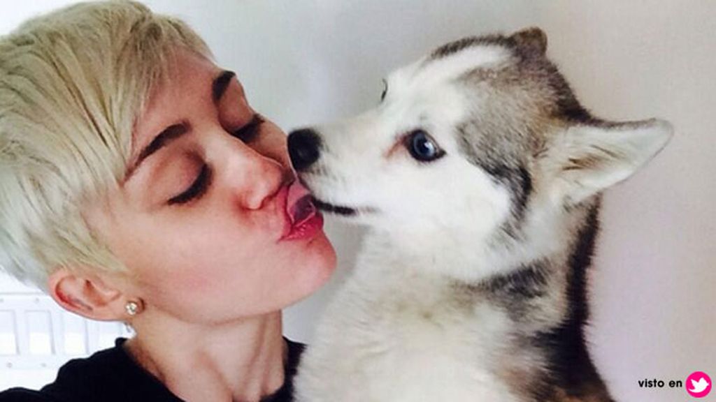 Así era la relación de Miley Cyrus y 'Floyd', el perro que ha revolucionado las redes