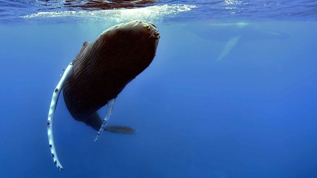 Increíbles fotos tomadas  en el Banco de la Plata en República Dominicana