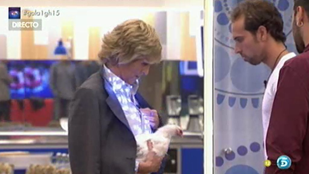 Mercedes entra acompañada de la gallina Falacia