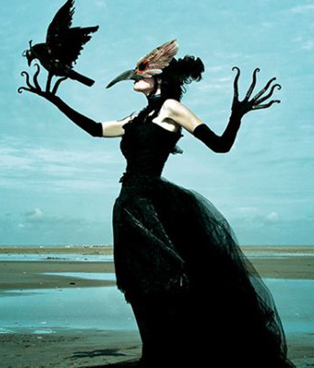 Polémicas fotografías escalofriantes con animales disecados