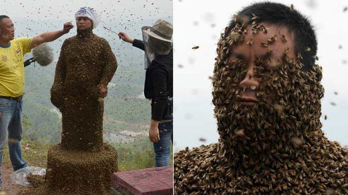 Un apicultor chino se cubre de abejas
