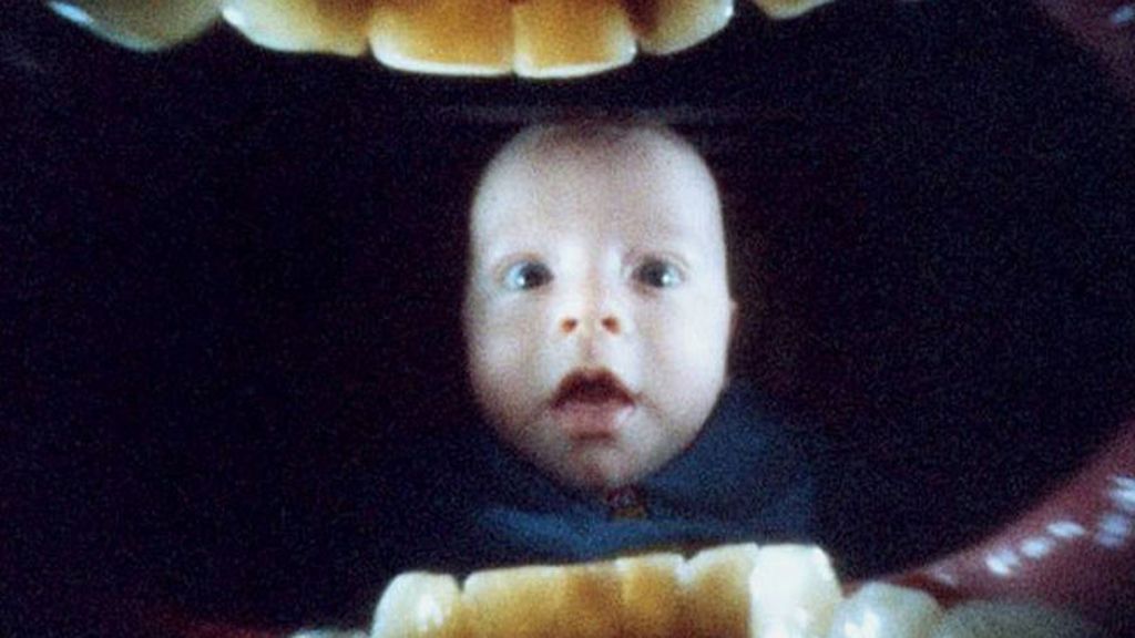El fotógrafo Justin Quinnell utiliza una cámara  dentro de la boca